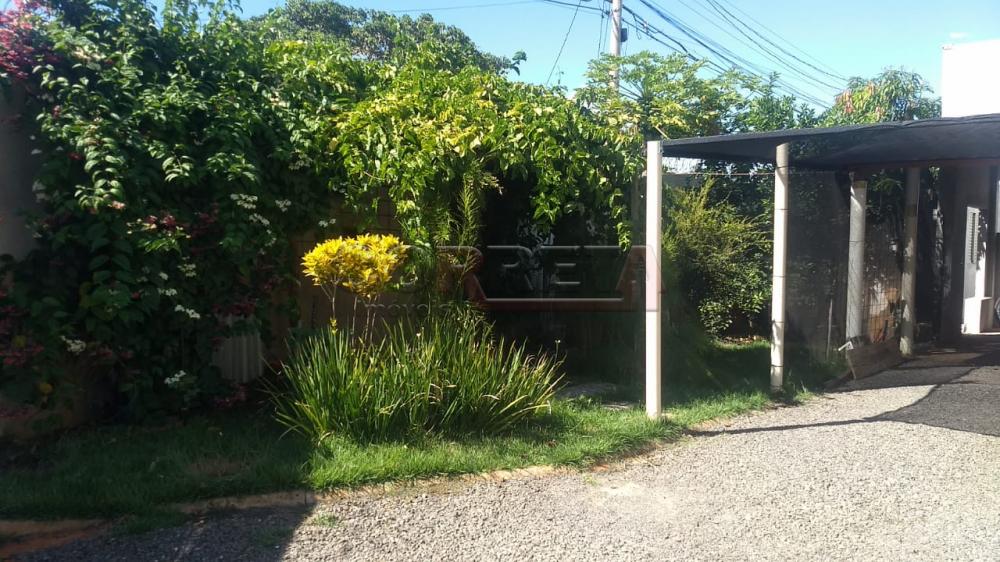 Alugar Casa / Residencial em Ara&ccedil;atuba R$ 1.000,00 - Foto 1