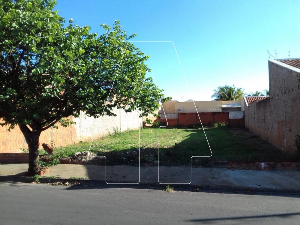 Comprar Terreno / Padr&atilde;o em Ara&ccedil;atuba R$ 180.000,00 - Foto 2