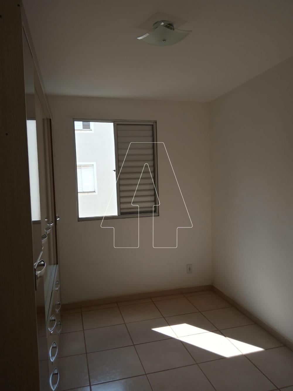 Alugar Apartamento / Padr&atilde;o em Ara&ccedil;atuba R$ 600,00 - Foto 7