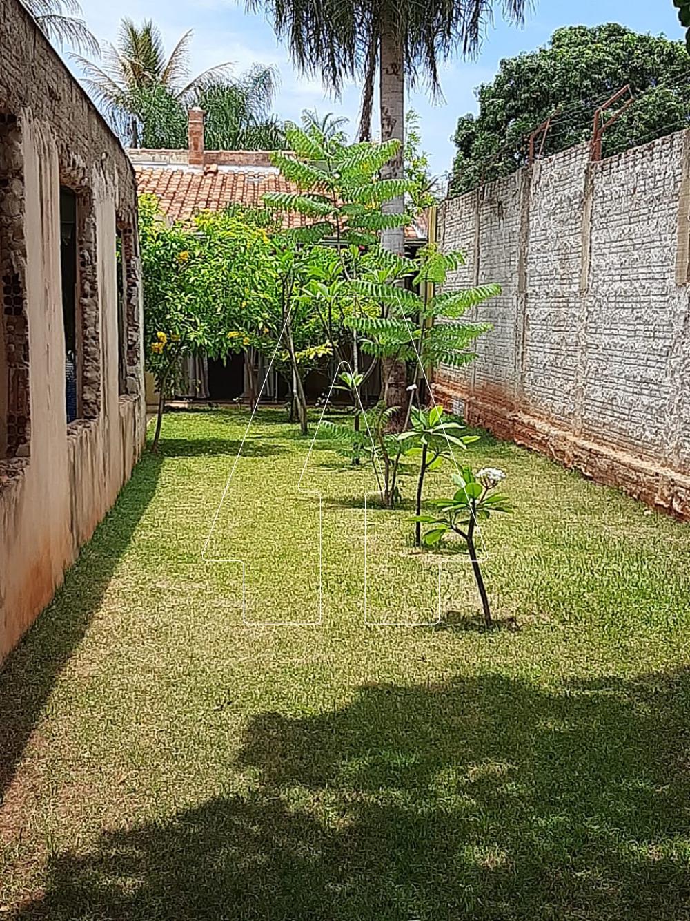 Comprar Rural / Ch&aacute;cara em Ara&ccedil;atuba R$ 380.000,00 - Foto 3