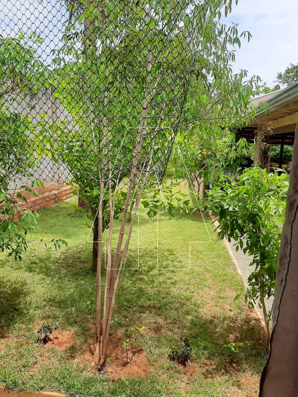 Comprar Rural / Ch&aacute;cara em Ara&ccedil;atuba R$ 380.000,00 - Foto 4