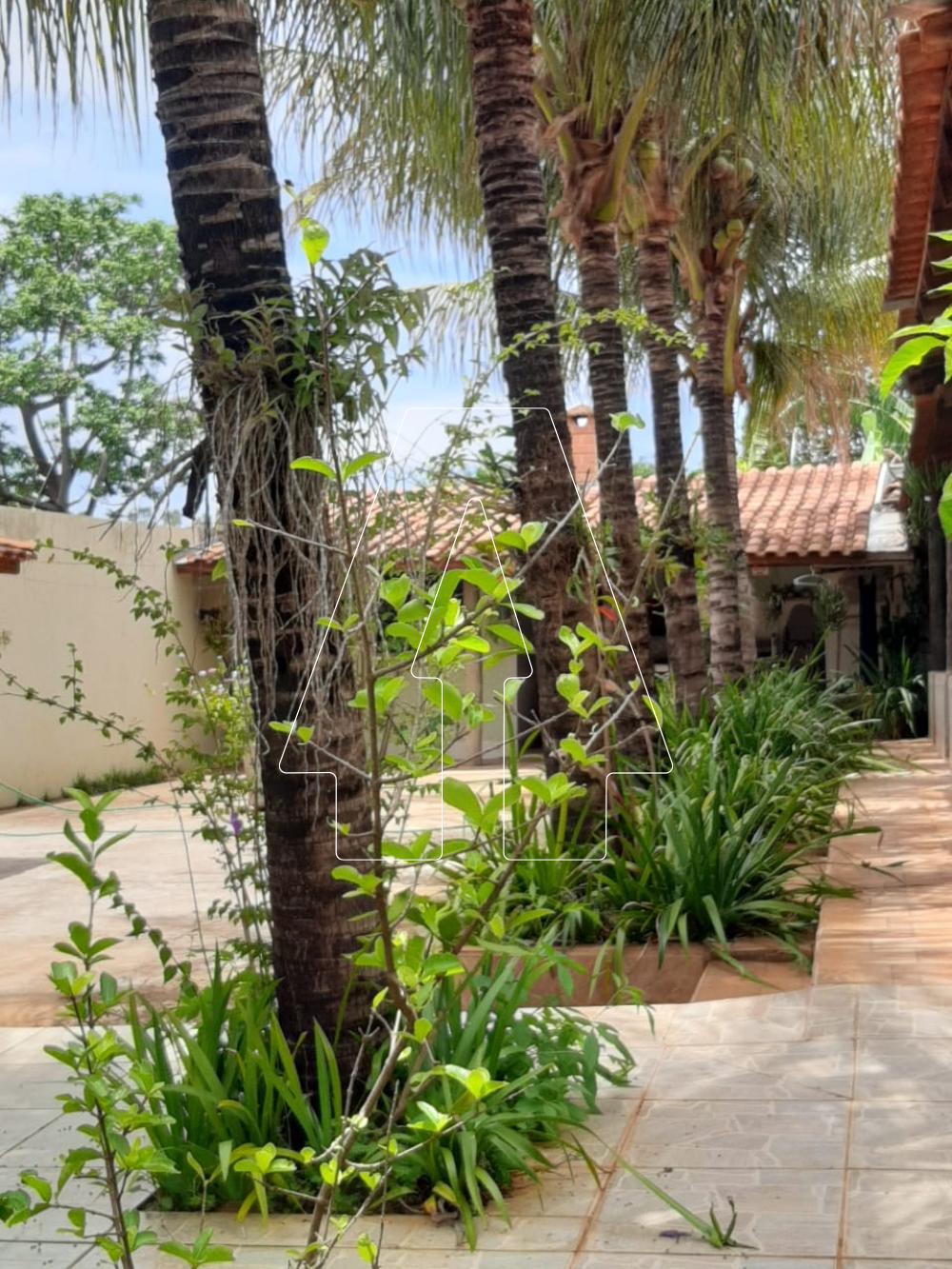 Comprar Rural / Ch&aacute;cara em Ara&ccedil;atuba R$ 380.000,00 - Foto 14
