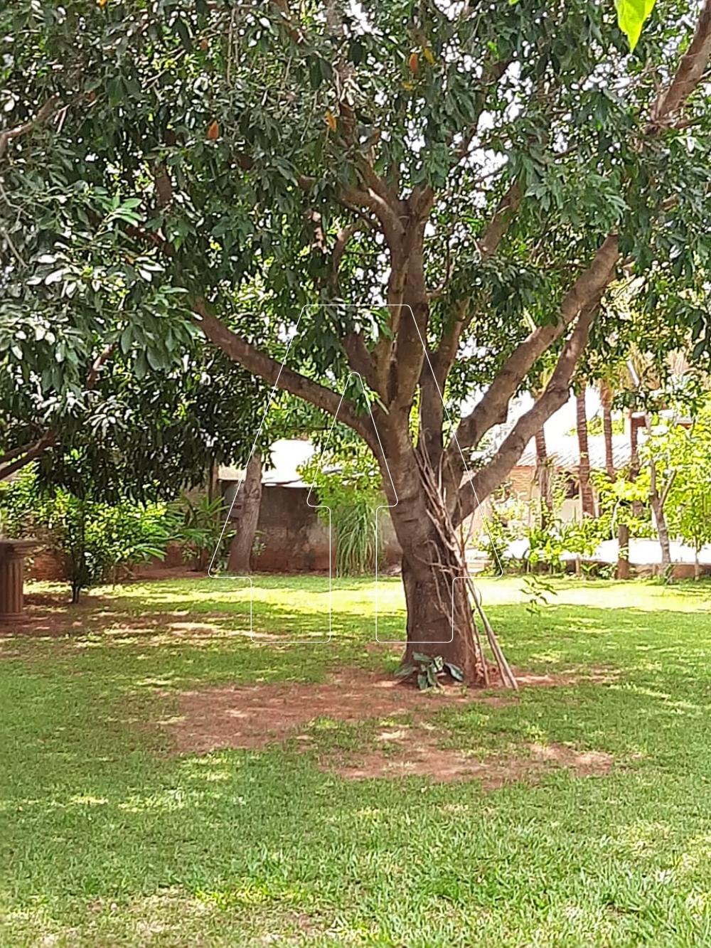 Comprar Rural / Ch&aacute;cara em Ara&ccedil;atuba R$ 380.000,00 - Foto 22