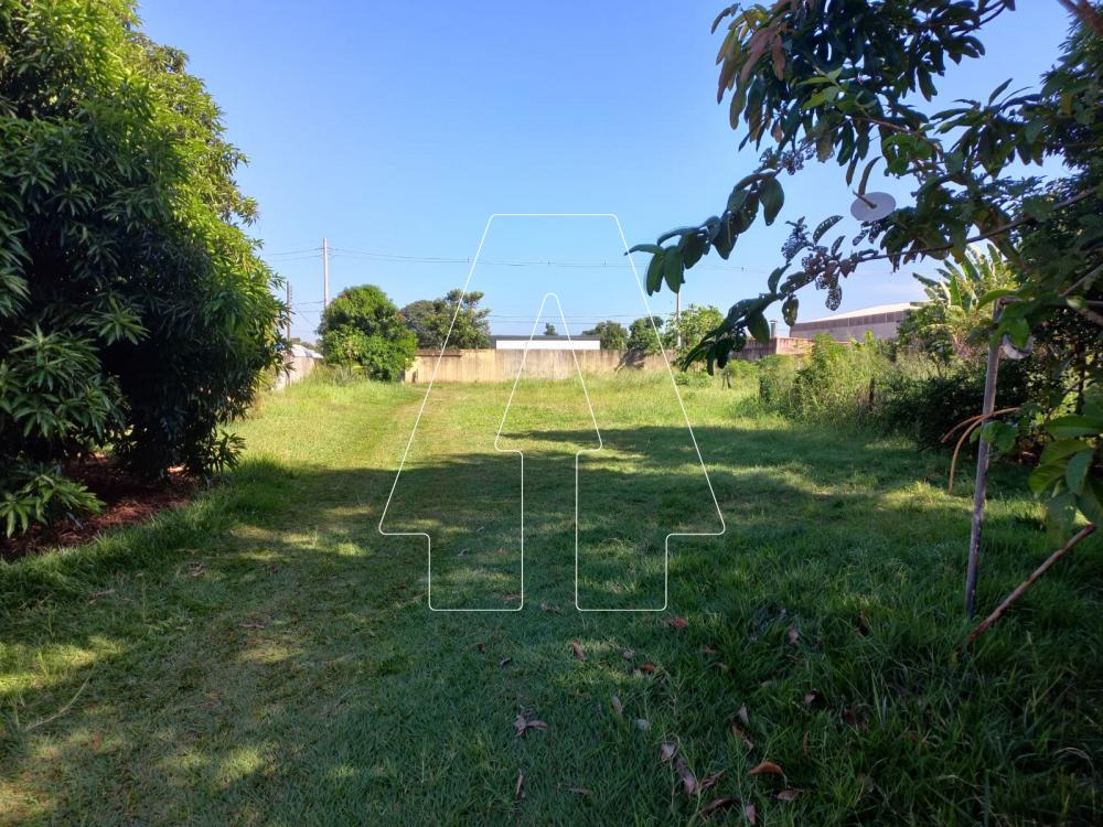 Alugar Rural / Ch&aacute;cara em Ara&ccedil;atuba R$ 4.000,00 - Foto 15