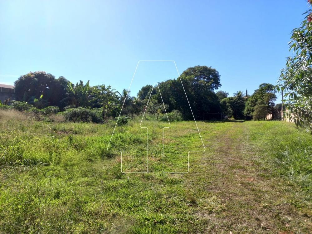 Alugar Rural / Ch&aacute;cara em Ara&ccedil;atuba R$ 4.000,00 - Foto 16