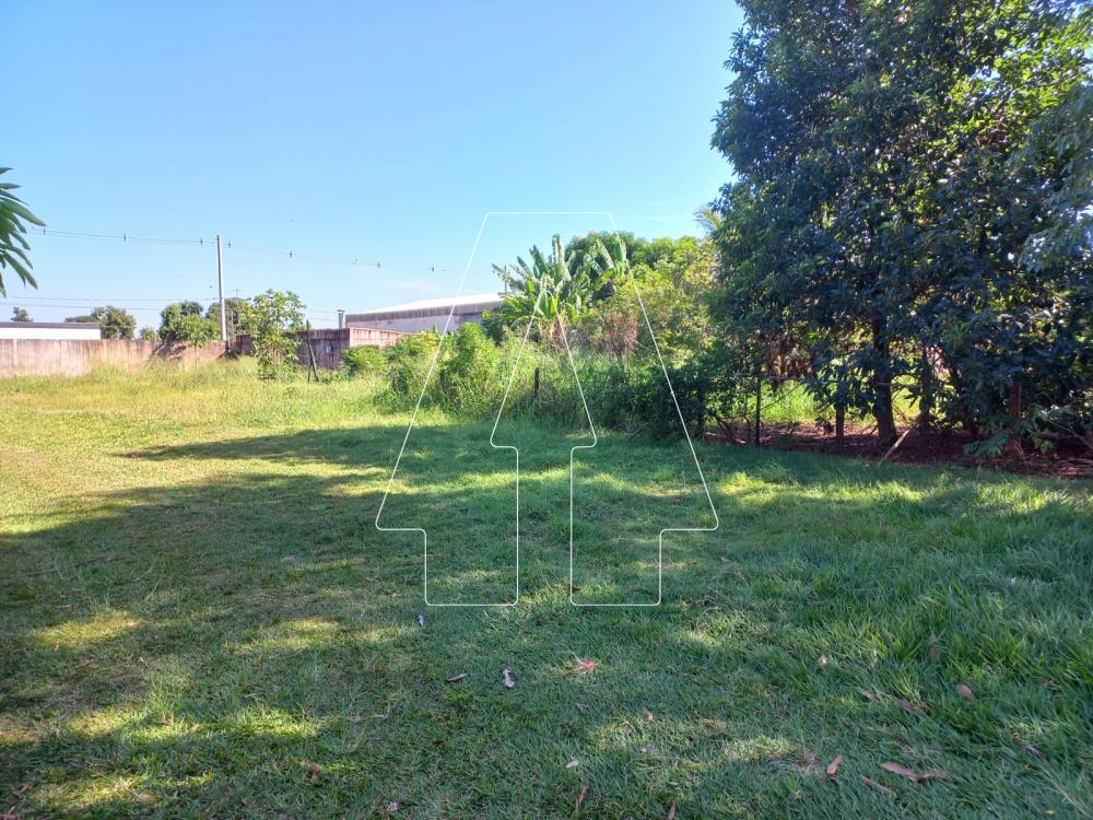 Alugar Rural / Ch&aacute;cara em Ara&ccedil;atuba R$ 4.000,00 - Foto 17