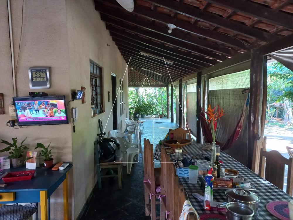 Alugar Rural / Ch&aacute;cara em Ara&ccedil;atuba R$ 4.000,00 - Foto 10