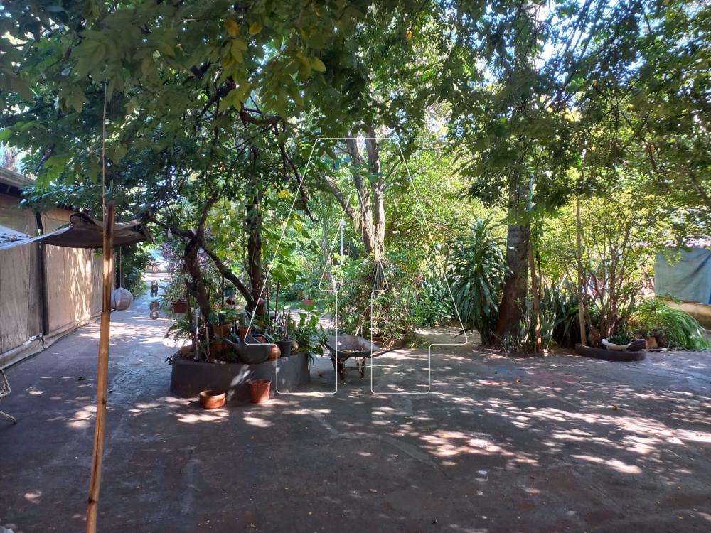 Alugar Rural / Ch&aacute;cara em Ara&ccedil;atuba R$ 4.000,00 - Foto 12
