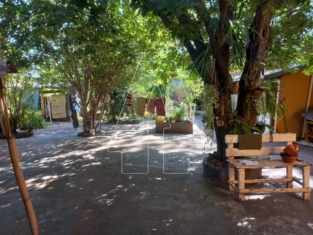 Alugar Rural / Ch&aacute;cara em Ara&ccedil;atuba R$ 4.000,00 - Foto 13
