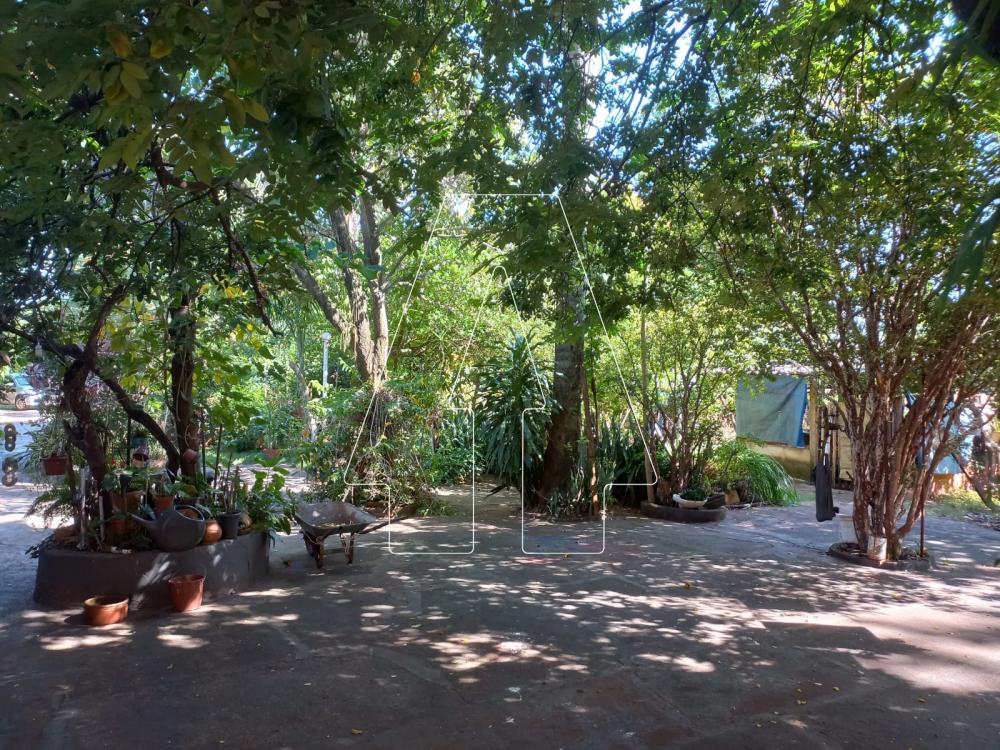 Alugar Rural / Ch&aacute;cara em Ara&ccedil;atuba R$ 4.000,00 - Foto 14