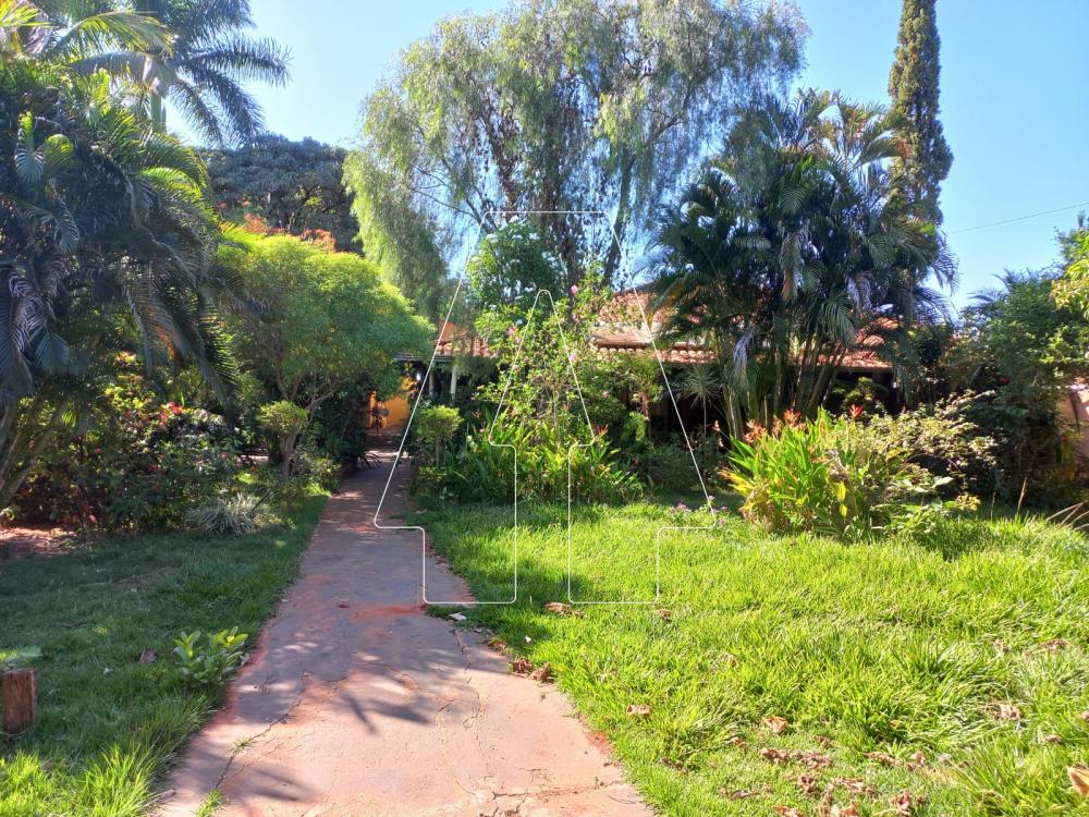 Alugar Rural / Ch&aacute;cara em Ara&ccedil;atuba R$ 4.000,00 - Foto 18