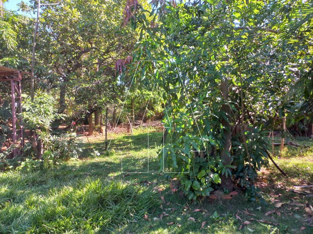 Alugar Rural / Ch&aacute;cara em Ara&ccedil;atuba R$ 4.000,00 - Foto 19