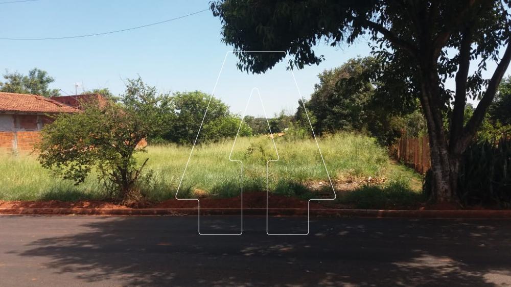 Comprar Terreno / Padr&atilde;o em Ara&ccedil;atuba R$ 85.000,00 - Foto 2