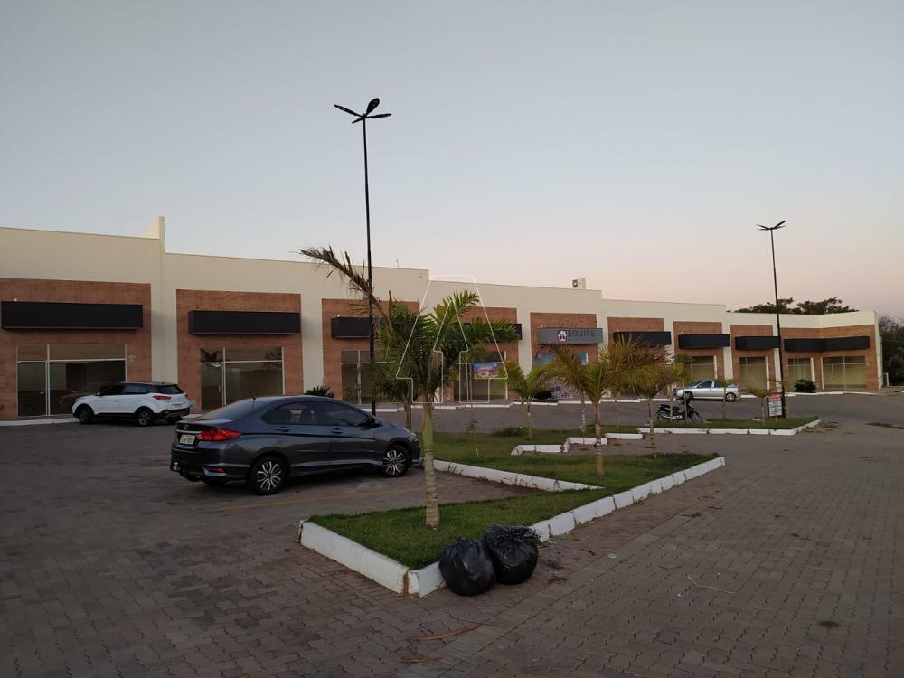 Alugar Comercial / Loja em Ara&ccedil;atuba R$ 1.600,00 - Foto 1