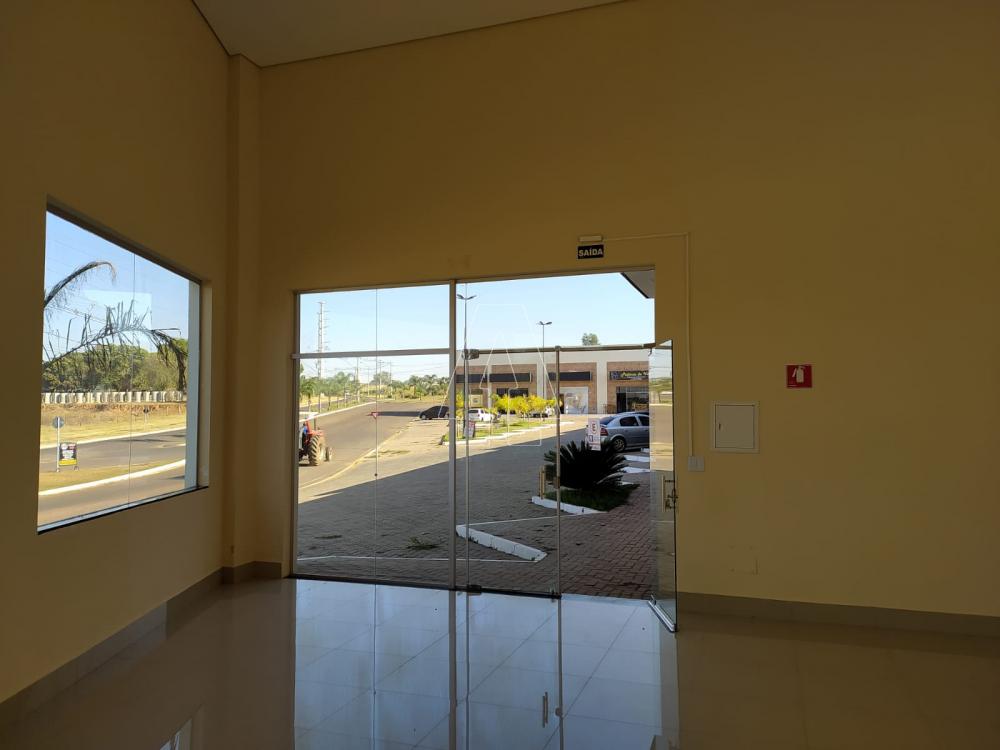 Alugar Comercial / Loja em Ara&ccedil;atuba R$ 1.850,00 - Foto 1