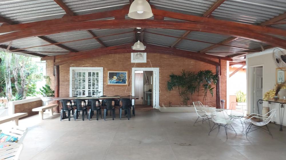 Comprar Rural / Rancho em Ara&ccedil;atuba R$ 2.200.000,00 - Foto 17