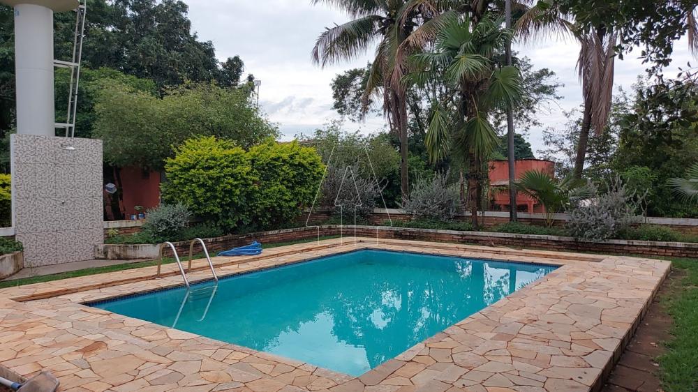 Comprar Rural / Rancho em Ara&ccedil;atuba R$ 2.200.000,00 - Foto 1