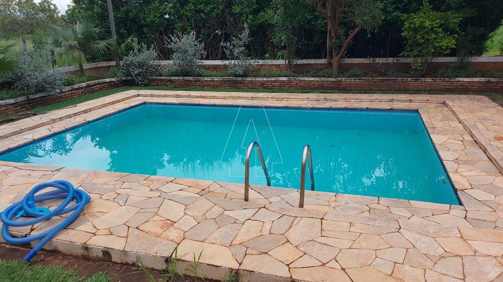 Comprar Rural / Rancho em Ara&ccedil;atuba R$ 2.200.000,00 - Foto 25