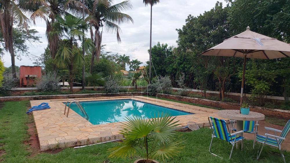 Comprar Rural / Rancho em Ara&ccedil;atuba R$ 2.200.000,00 - Foto 26