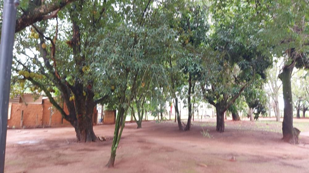 Comprar Rural / Rancho em Ara&ccedil;atuba R$ 2.200.000,00 - Foto 28