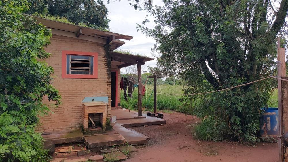 Comprar Rural / Rancho em Ara&ccedil;atuba R$ 2.200.000,00 - Foto 30