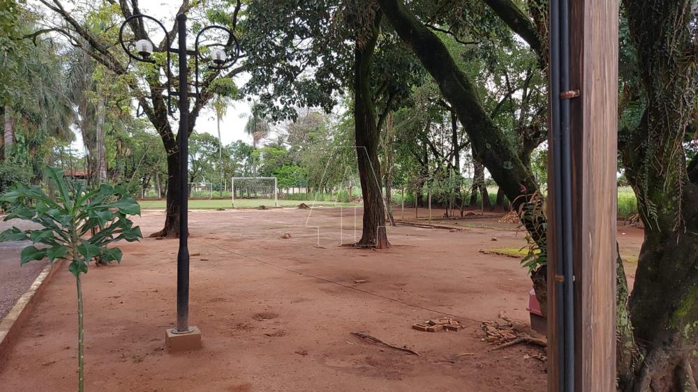 Comprar Rural / Rancho em Ara&ccedil;atuba R$ 2.200.000,00 - Foto 31