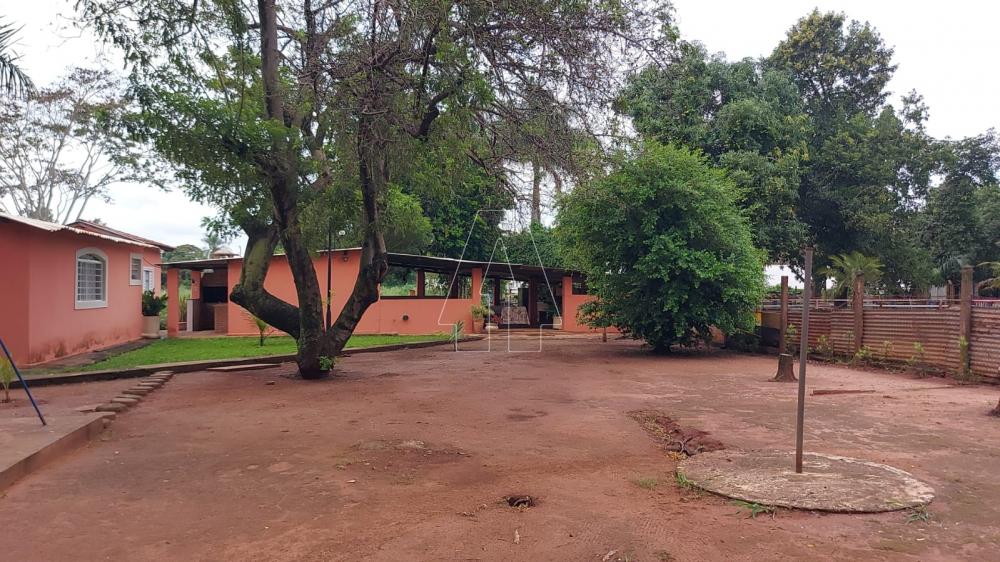 Comprar Rural / Rancho em Ara&ccedil;atuba R$ 2.200.000,00 - Foto 32