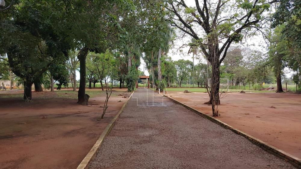 Comprar Rural / Rancho em Ara&ccedil;atuba R$ 2.200.000,00 - Foto 33