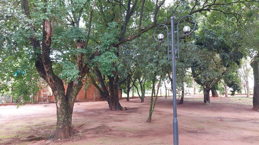 Comprar Rural / Rancho em Ara&ccedil;atuba R$ 2.200.000,00 - Foto 34