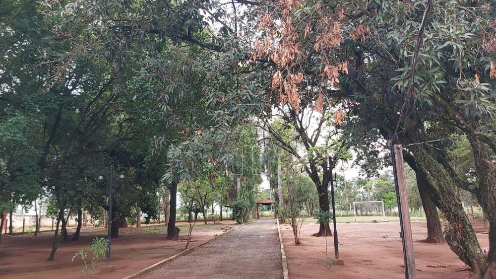 Comprar Rural / Rancho em Ara&ccedil;atuba R$ 2.200.000,00 - Foto 35