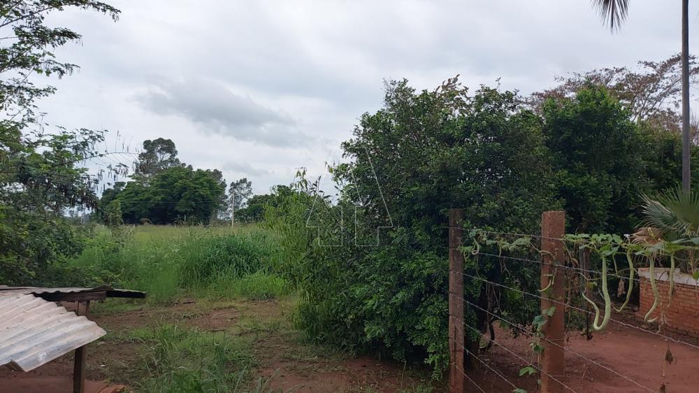 Comprar Rural / Rancho em Ara&ccedil;atuba R$ 2.200.000,00 - Foto 38