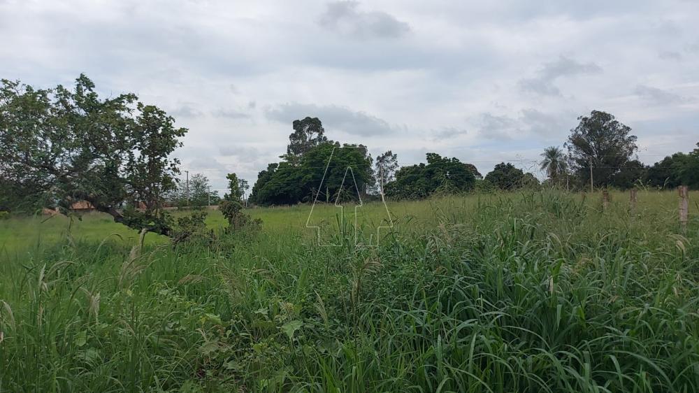 Comprar Rural / Rancho em Ara&ccedil;atuba R$ 2.200.000,00 - Foto 39