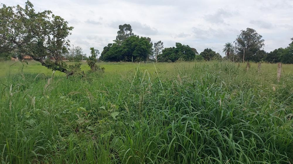 Comprar Rural / Rancho em Ara&ccedil;atuba R$ 2.200.000,00 - Foto 40