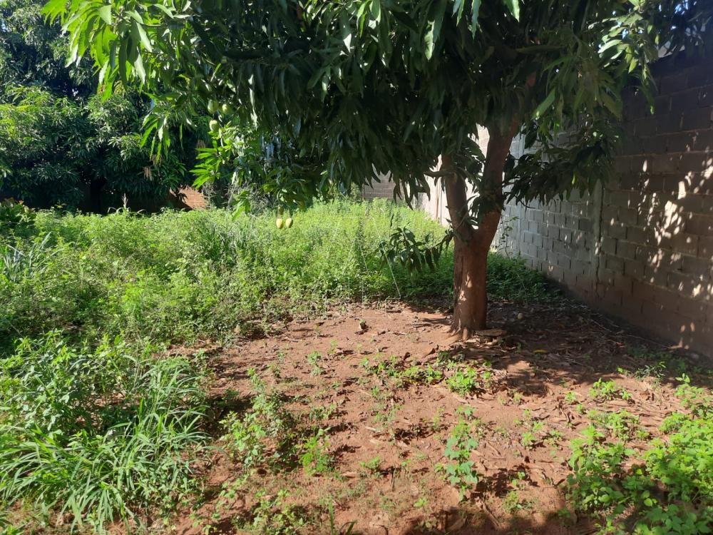 Comprar Terreno / Padr&atilde;o em Ara&ccedil;atuba R$ 120.000,00 - Foto 2