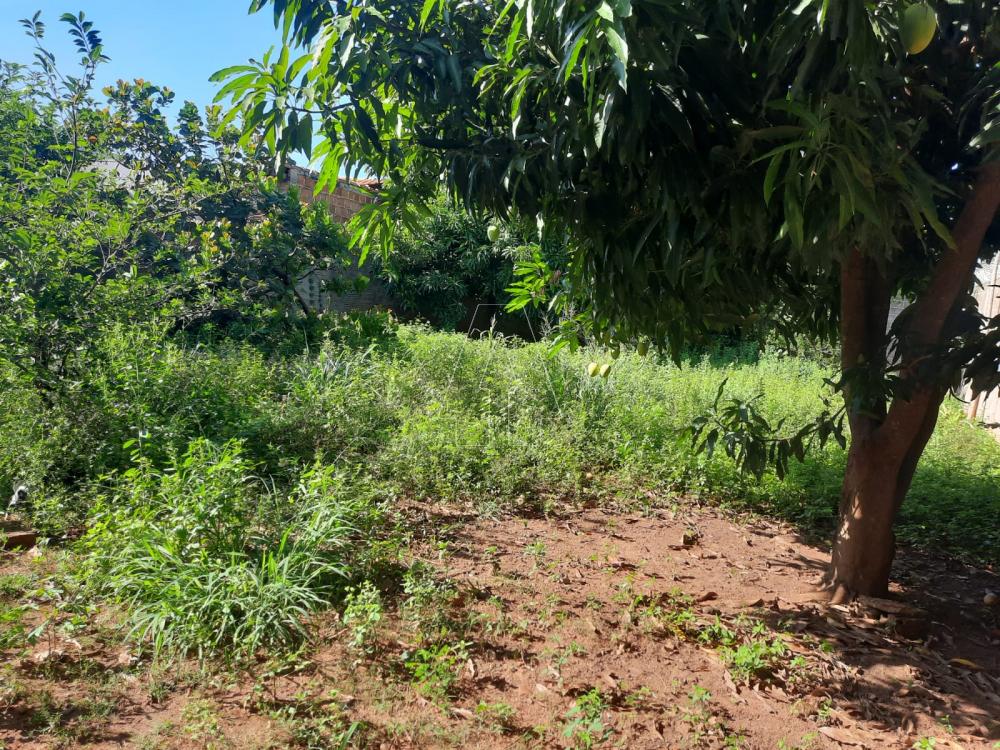 Comprar Terreno / Padr&atilde;o em Ara&ccedil;atuba R$ 120.000,00 - Foto 3