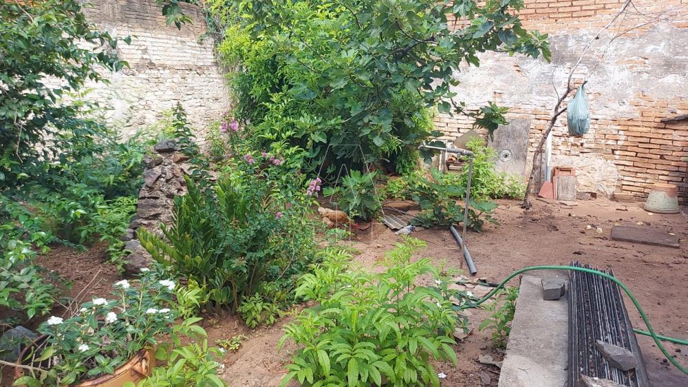 Comprar Comercial / Ponto Comercial em Ara&ccedil;atuba R$ 300.000,00 - Foto 8