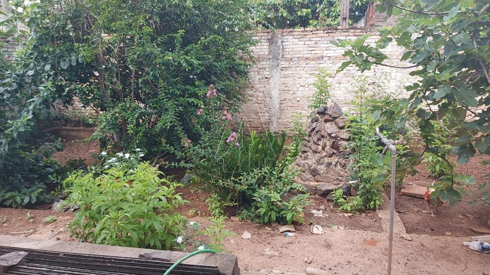 Comprar Comercial / Ponto Comercial em Ara&ccedil;atuba R$ 300.000,00 - Foto 9