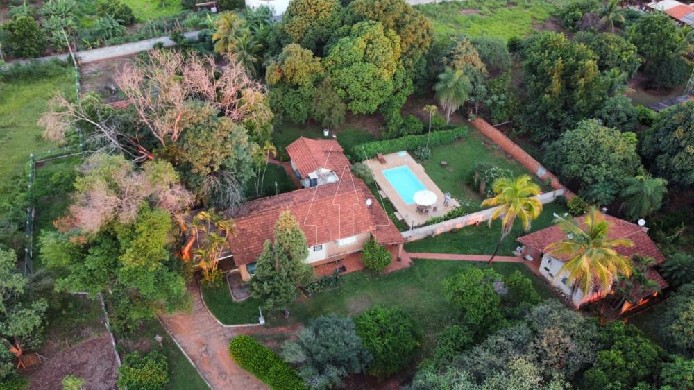 Comprar Rural / Ch&aacute;cara em Ara&ccedil;atuba R$ 870.000,00 - Foto 1