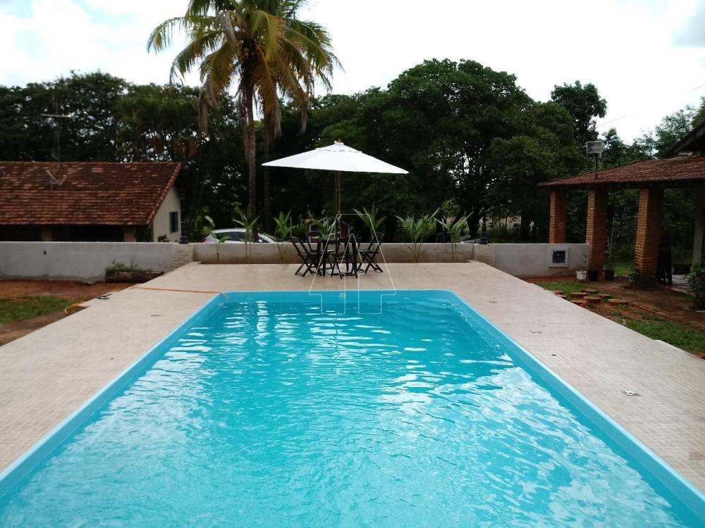 Comprar Rural / Ch&aacute;cara em Ara&ccedil;atuba R$ 870.000,00 - Foto 9