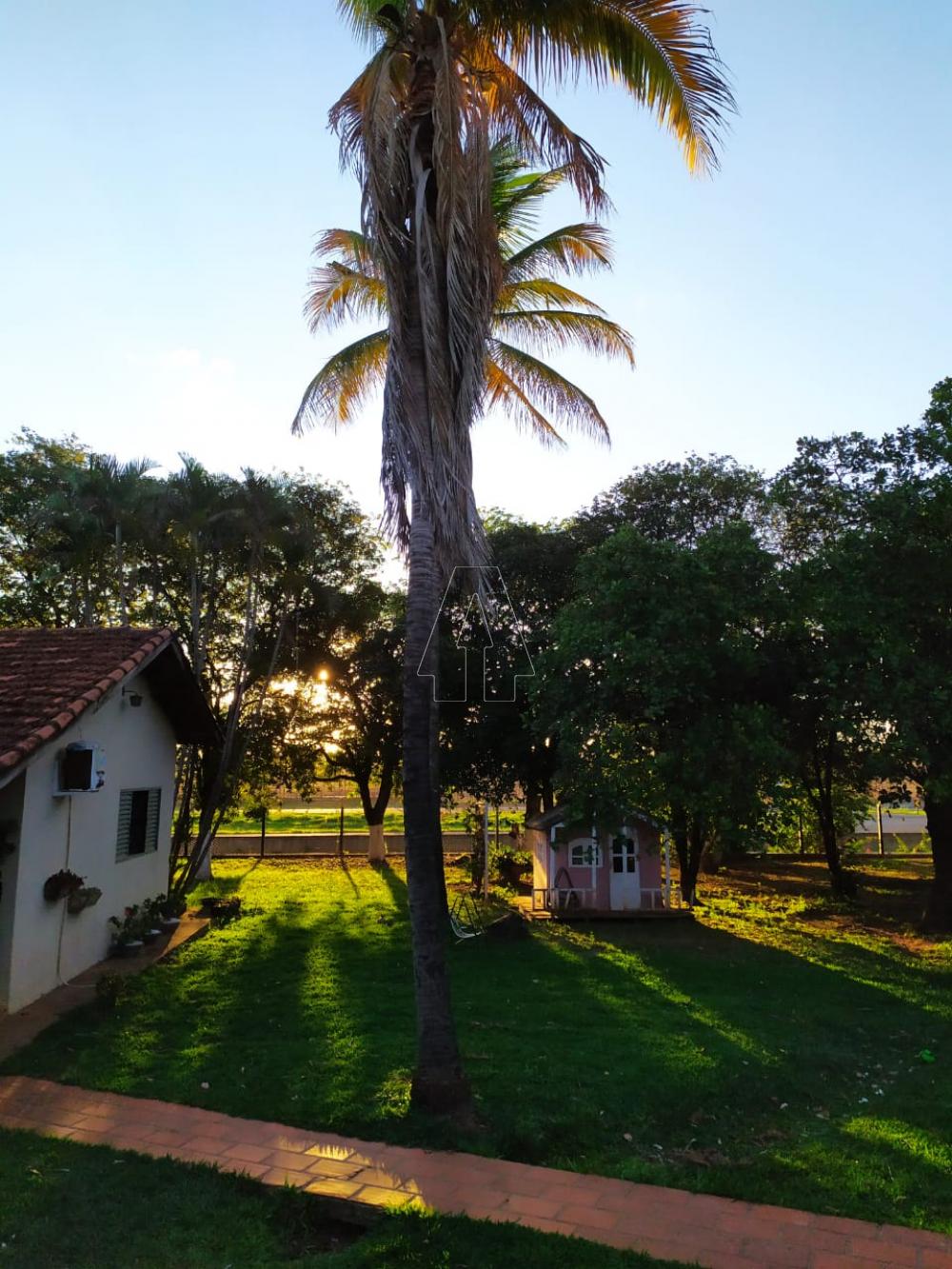 Comprar Rural / Ch&aacute;cara em Ara&ccedil;atuba R$ 870.000,00 - Foto 11
