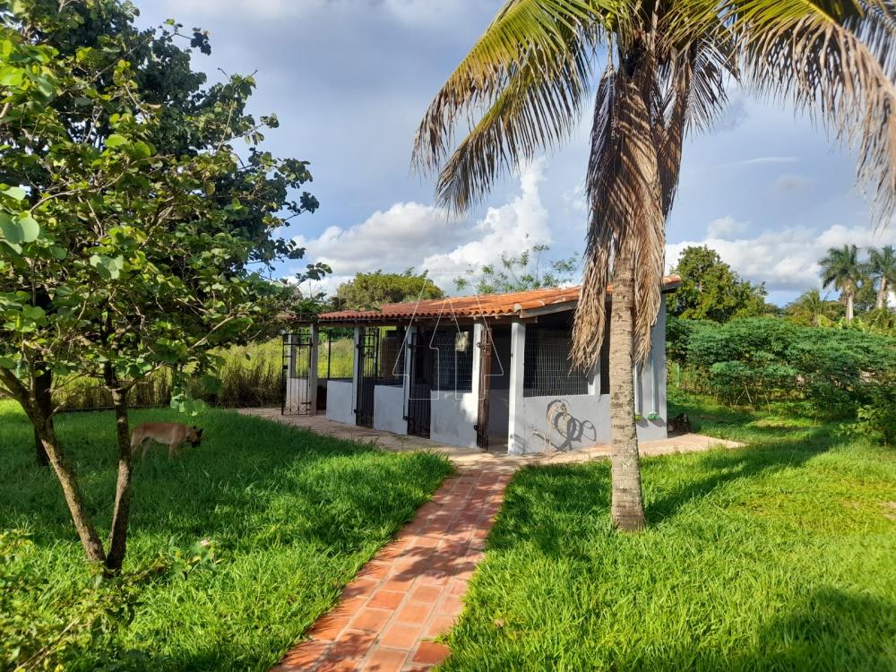 Comprar Rural / Ch&aacute;cara em Ara&ccedil;atuba R$ 870.000,00 - Foto 13