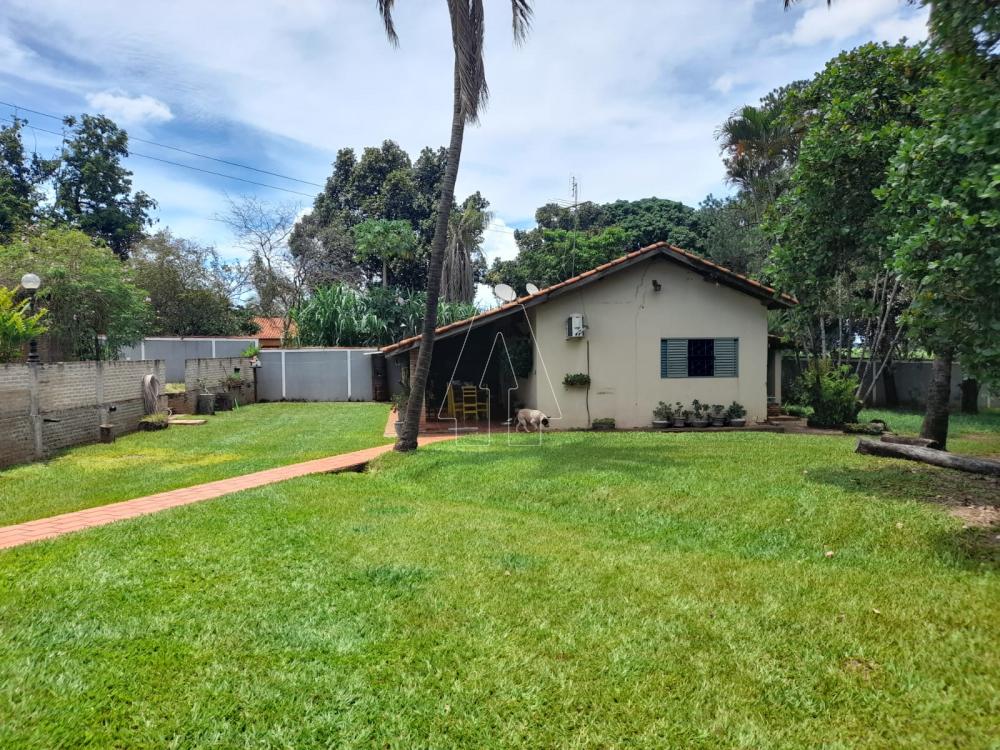 Comprar Rural / Ch&aacute;cara em Ara&ccedil;atuba R$ 870.000,00 - Foto 14