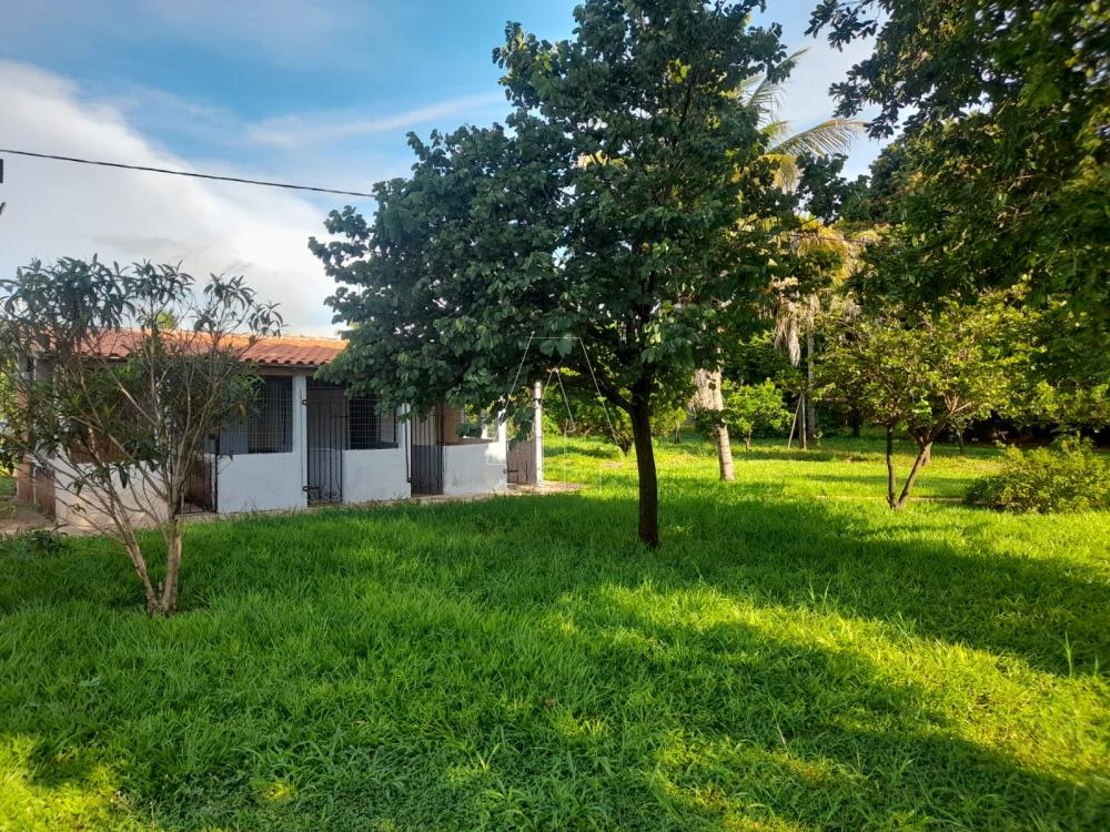 Comprar Rural / Ch&aacute;cara em Ara&ccedil;atuba R$ 870.000,00 - Foto 15