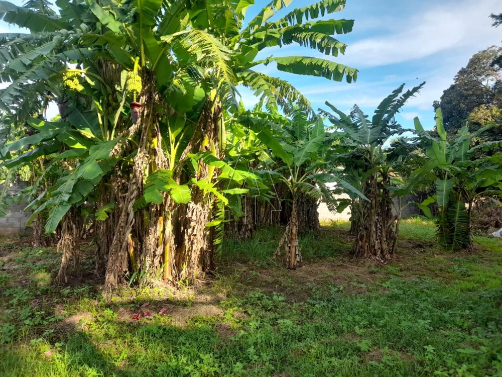 Comprar Rural / Ch&aacute;cara em Ara&ccedil;atuba R$ 870.000,00 - Foto 17