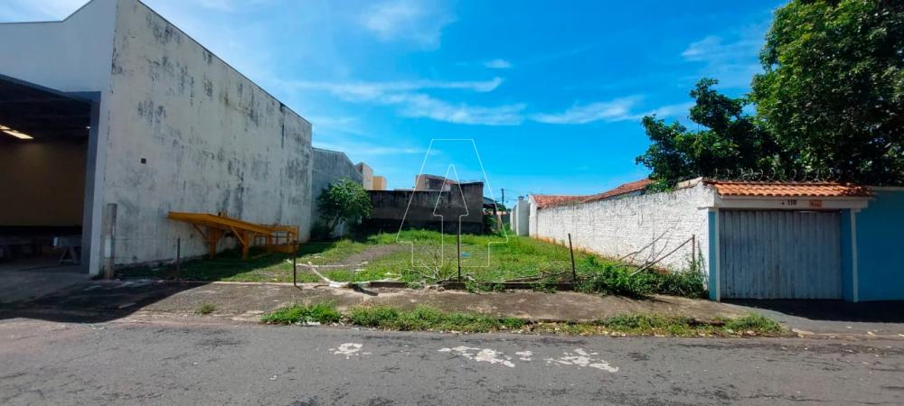 Comprar Terreno / Padr&atilde;o em Ara&ccedil;atuba R$ 190.000,00 - Foto 2