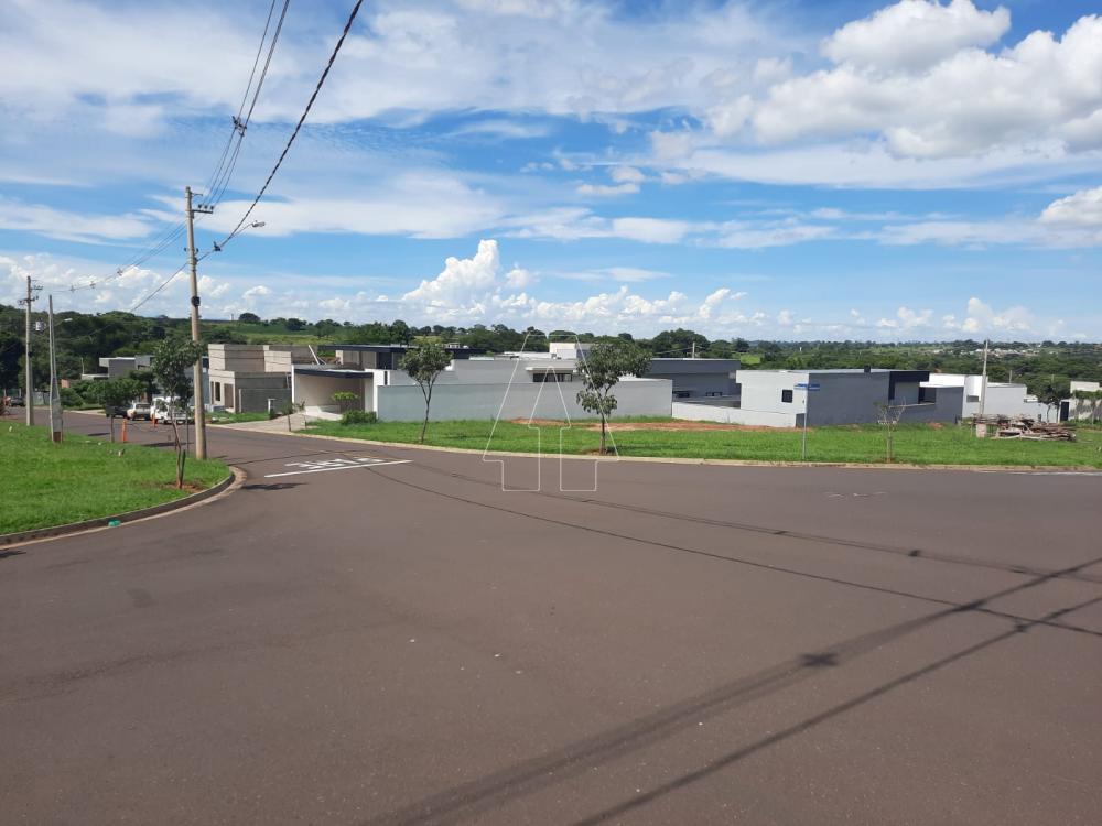 Comprar Terreno / Condom&iacute;nio em Ara&ccedil;atuba R$ 350.000,00 - Foto 1