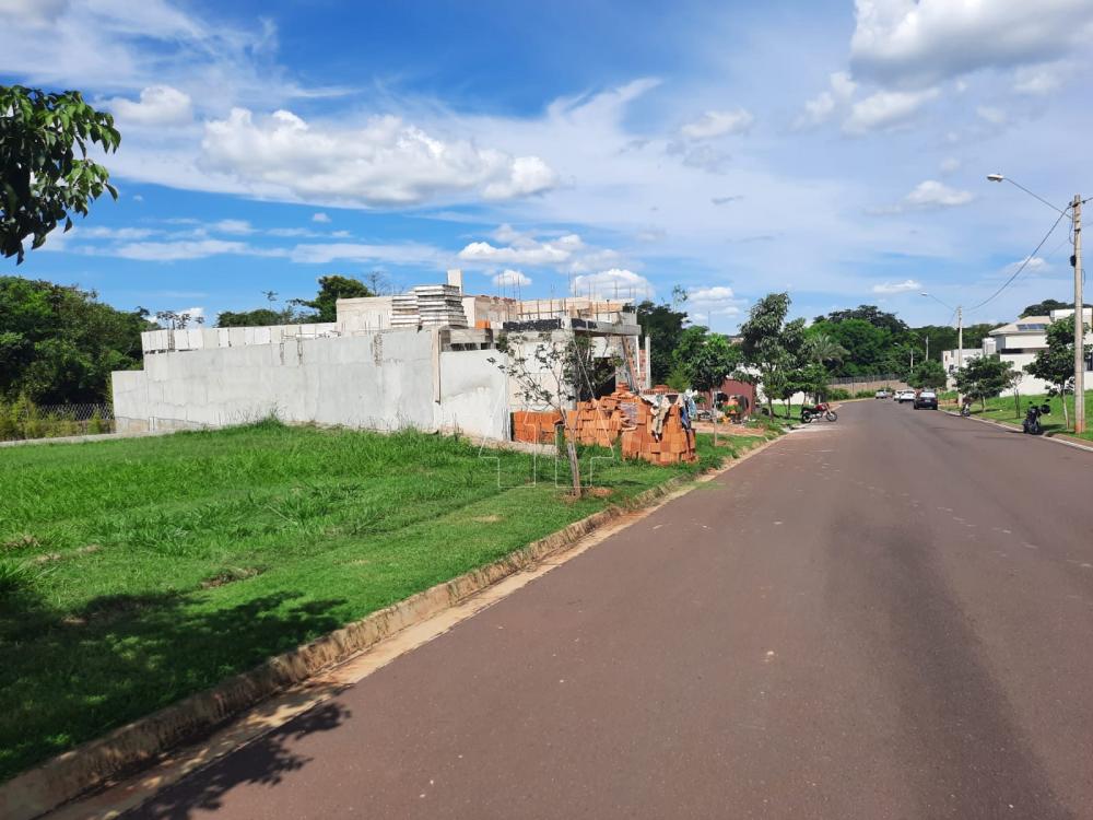 Comprar Terreno / Condom&iacute;nio em Ara&ccedil;atuba R$ 350.000,00 - Foto 4