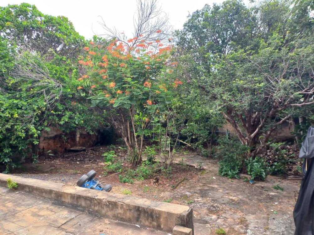 Comprar Casa / Residencial em Ara&ccedil;atuba R$ 380.000,00 - Foto 7
