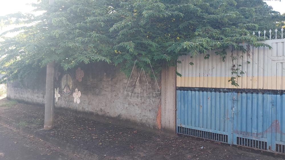Comprar Terreno / Padr&atilde;o em Ara&ccedil;atuba R$ 175.000,00 - Foto 2