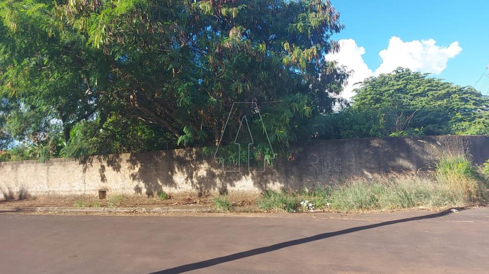 Comprar Terreno / Padr&atilde;o em Ara&ccedil;atuba R$ 175.000,00 - Foto 4